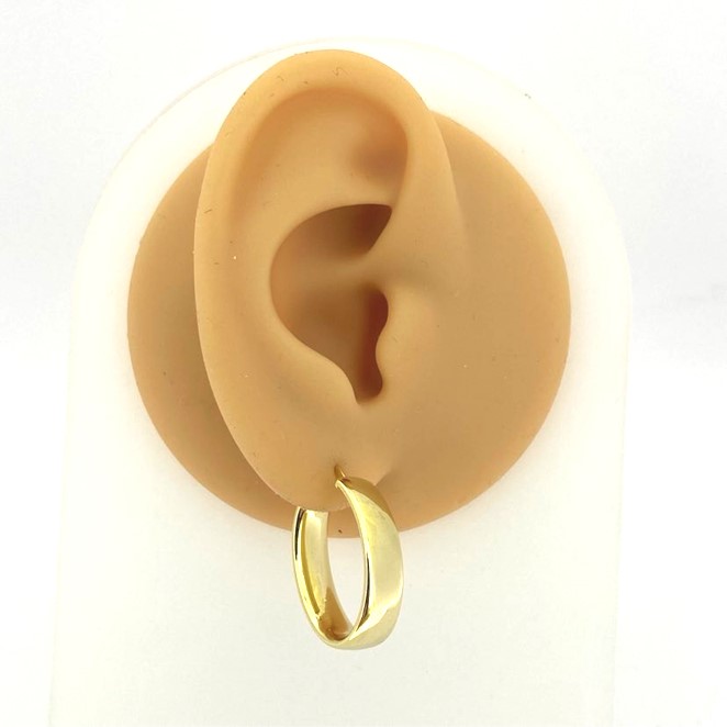 G36533 Oval Hoop Earrings