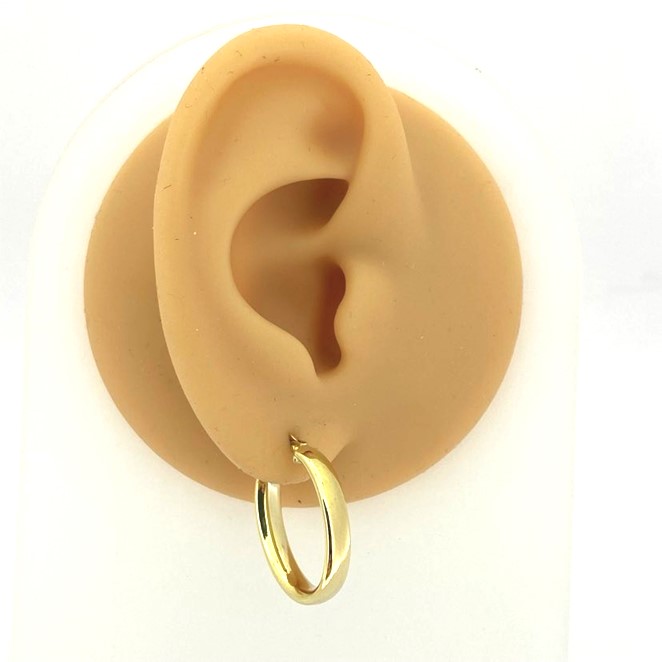 G36534 Oval Hoop Earrings